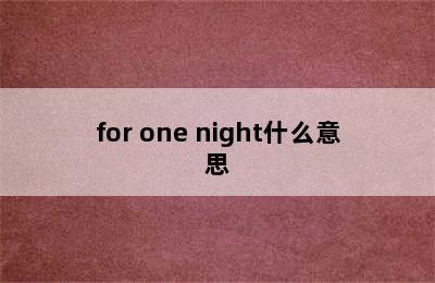 for one night什么意思